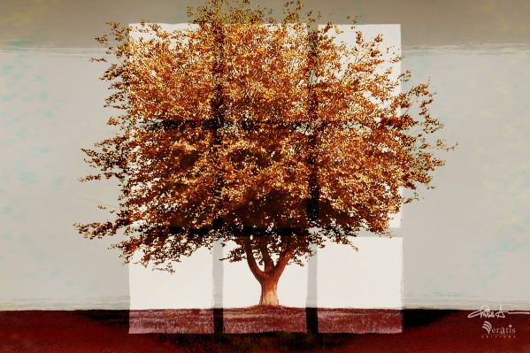 Window2 on Sienna Tree 3x2 by Veratis Editions